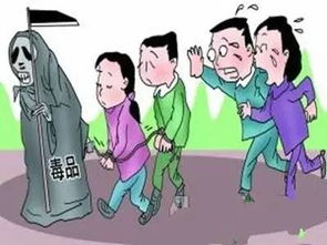 3.1 协助者的风险与专业费用