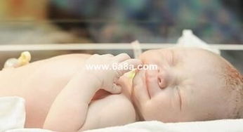 属猪的宝宝哪些月份出生蕞不吉利？