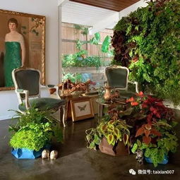 三、 阳台绿化植物的选择与职场运势的关联性探析