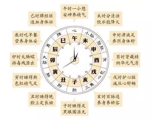 1. 对应人体部位映射