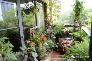 朝东阳台：迎接清晨阳光