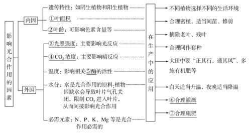 1. 符号归类：从宏观到微观层级梳理