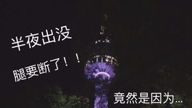 射手座：自由奔放的灵魂翱翔