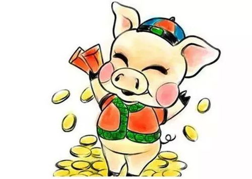 属猪2026运势八字和不同命理运势如何？