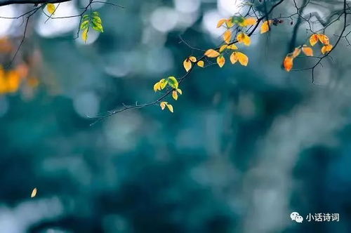 热爱与期待：岁月的馈赠