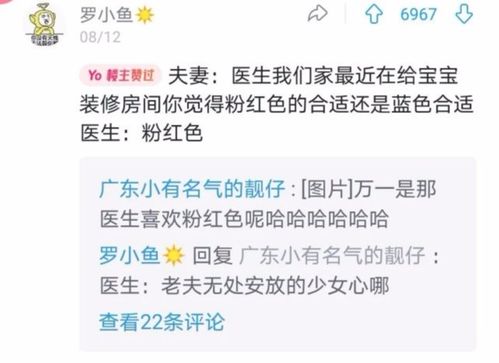 6号人格：薛定谔的猫型