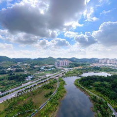 第四章：湿地大冒险