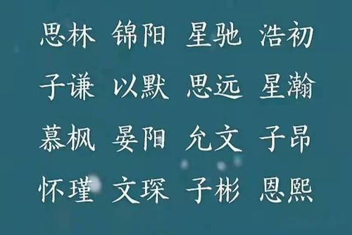 哈氏男孩取字哈煜宸，这样的名字寓意光明璀璨，是不是很棒呢？