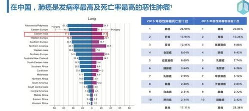 四、从春风化雨到临床干预：天然节奏与人工制作调控之间