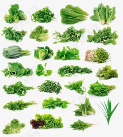 绿色蔬菜和蔬菜分别对应哪个生肖？