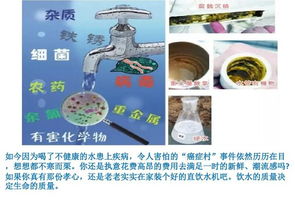 水文景观与气场流动：面水的纳气机制与财富象征