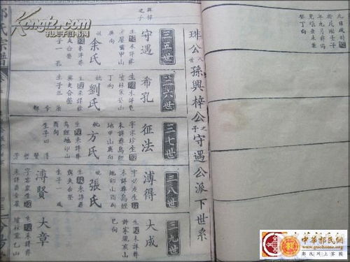 宗祠风水与文化积淀的双重考量