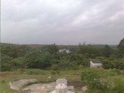 风水浪伞和黄伞对家居风水有哪些具体影响？