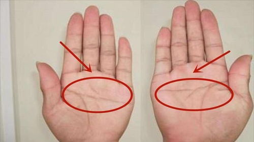 一、 梦境与手相的交叉解读