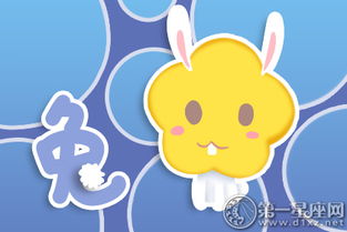 4. 属猪者：元认知能力提升对决策质量的指数效应