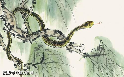 将驾龙戏水是哪生肖？双龙戏水打一生肖究竟指什么？