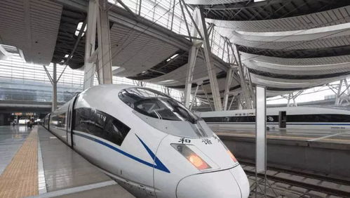 车次？随缘！感觉像是在玩俄罗斯转盘