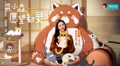 较小森生活萌宠名字的特点