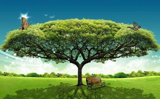 树代表什么生肖？哪个生肖属树最好？