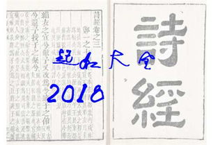 实例解析：给马姓男孩取名的实际案例