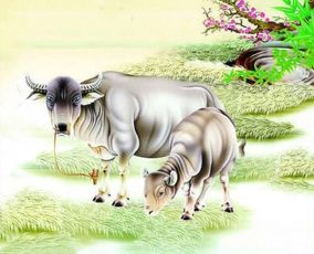 1. 属狗的霸道总裁