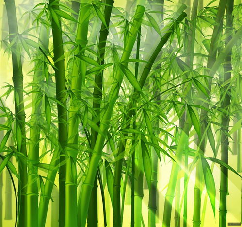 1. 土壤稳固性与水土保持机制