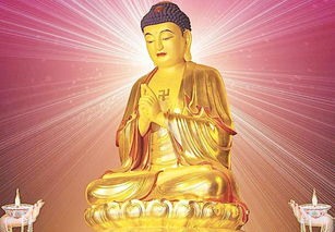 化解策略：可靠方法的重要性评估