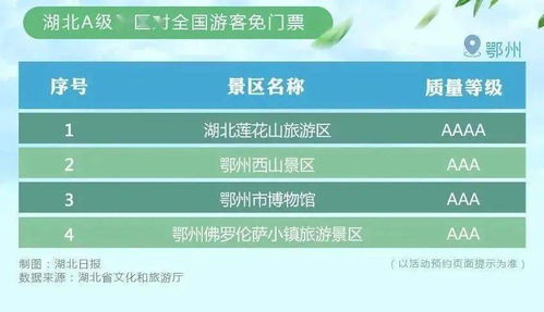 2. 关注那些不知名的旗舰店