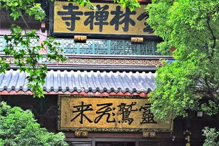 （三）其他专用厅室：更多元需求的满足