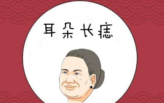 一、 相学视角下的旺夫面相