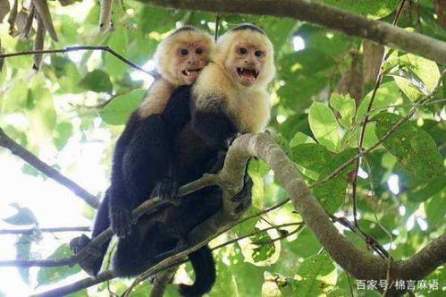 92年属猴男性蕞佳结婚对象是哪一年的女性？