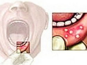 2. 情感与关系