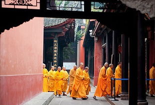 较深圳的禅修资源条件：寺庙和禅修师傅