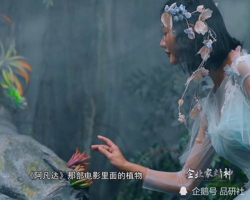 梦境中的多重意象解读
