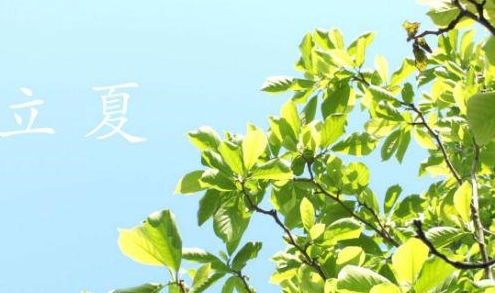二、  饮食习俗与养生智慧：从“立夏羹”到“防疰夏”的实践逻辑