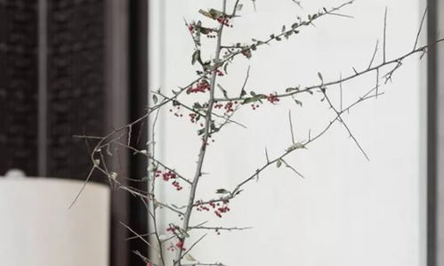 农历三月有多少天是黄道吉日？