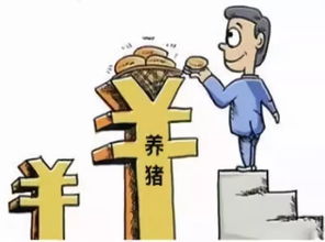 一、 属鼠者在粮油食品行业的对比优势解析