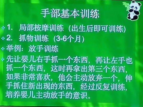 1．探究背景与理论框架
