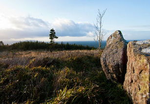 使用年限的差异