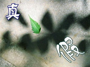 枪杆子与笔杆子的巧妙结合