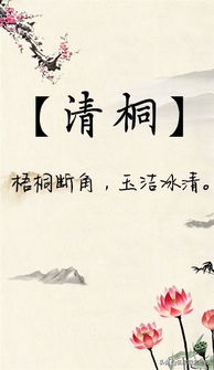 生肖星座视角下的象征映射