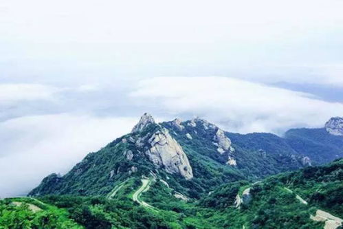 网购平台の黑暗森林