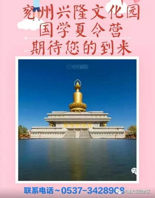 （二）鼠之策略化：从机灵观察到官场智斗