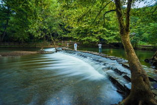 第四站:花溪公园——蚊子比风景多