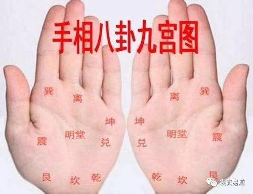 手相与八卦十二宫的对应关系：一项基于传统方式国学与现代化占卜学的跨学科探究