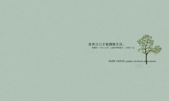 文字游戏里的寂寞回响