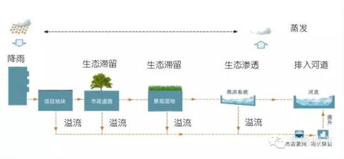 2.2 绿化与环保——人文自然融合的重要维度