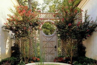 院子适合种植山竹吗？这样的风水布局怎么样？