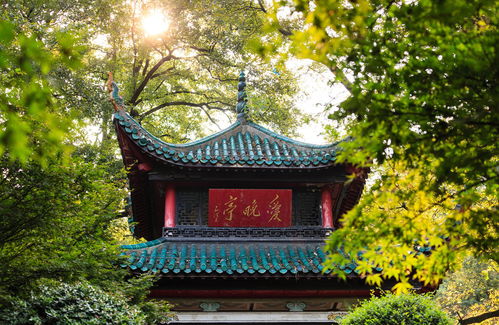 预订小技巧（超实用？！也许吧…）