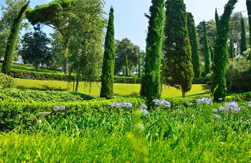 药用植物园：认草药了吗？没有还是在堪猴子...